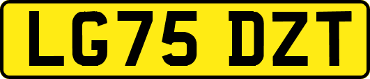 LG75DZT