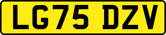LG75DZV