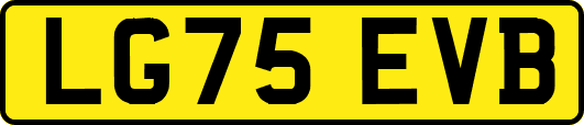 LG75EVB