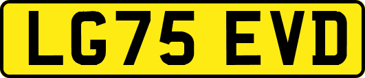 LG75EVD