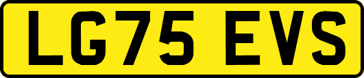 LG75EVS
