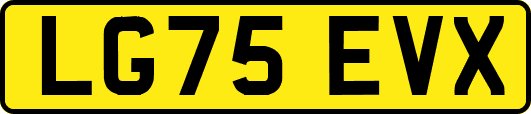 LG75EVX