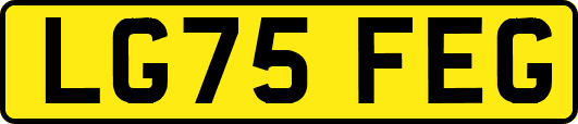 LG75FEG