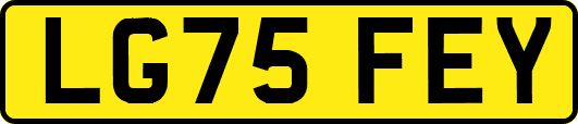 LG75FEY