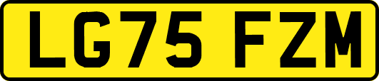 LG75FZM