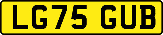LG75GUB