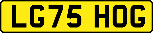LG75HOG