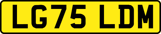 LG75LDM