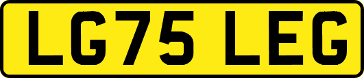 LG75LEG