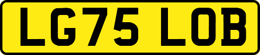 LG75LOB