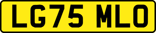 LG75MLO