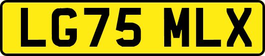 LG75MLX