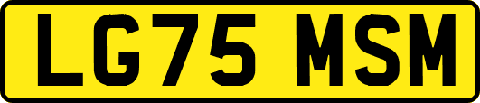 LG75MSM