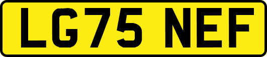 LG75NEF