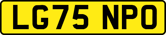 LG75NPO