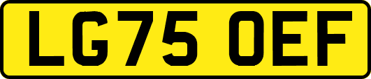 LG75OEF