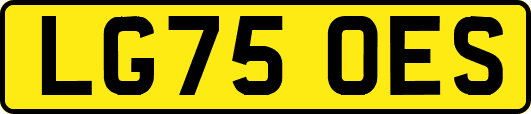 LG75OES