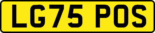 LG75POS