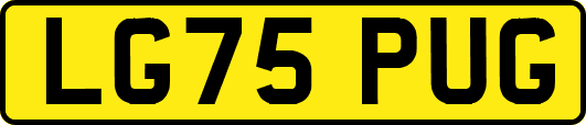 LG75PUG