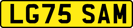 LG75SAM