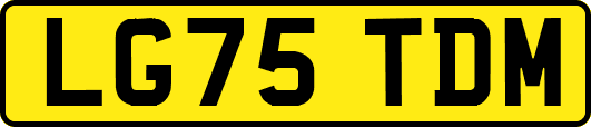 LG75TDM