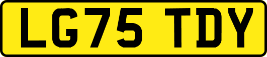 LG75TDY