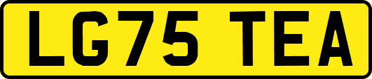 LG75TEA