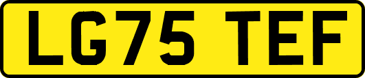 LG75TEF