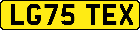 LG75TEX