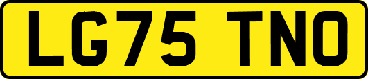 LG75TNO