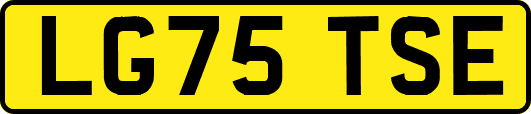 LG75TSE