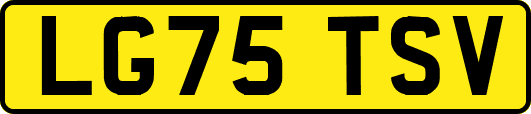 LG75TSV