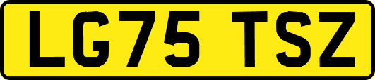 LG75TSZ