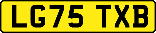 LG75TXB