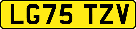 LG75TZV