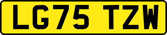 LG75TZW