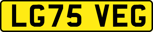 LG75VEG