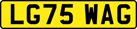 LG75WAG