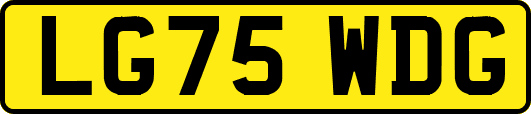 LG75WDG