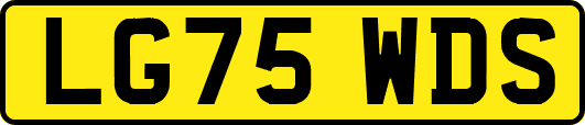LG75WDS