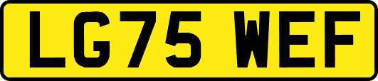 LG75WEF