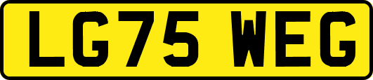 LG75WEG