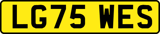 LG75WES
