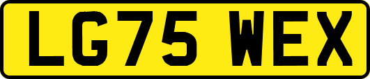 LG75WEX