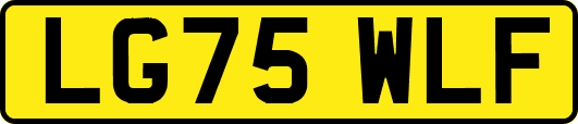 LG75WLF