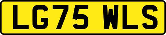 LG75WLS