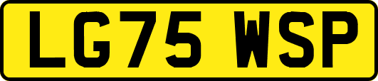 LG75WSP