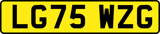 LG75WZG
