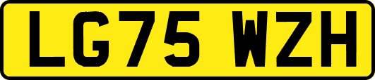 LG75WZH