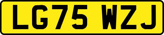 LG75WZJ